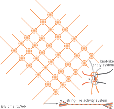 two types of systems within the biomatrix - biomatrix systems theory