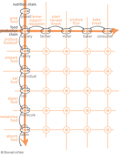 activity systems form supply chains