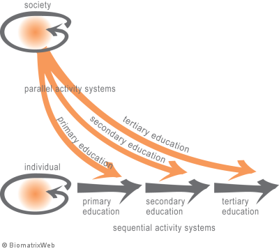 parallel and sequential (sub)activity systems across levels