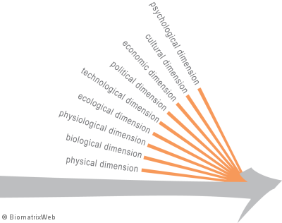 systems theory concept of multi-dimensionality