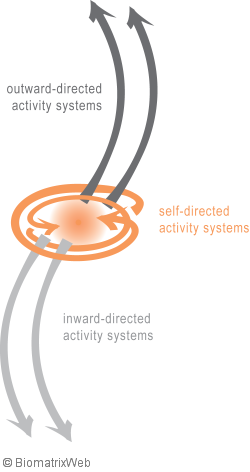 systems theory: three-fold organisation of entity systems