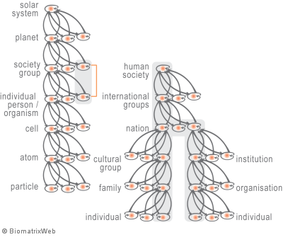 systems theory: hierarchy of entity systems