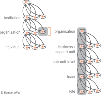 systems theory: hierarchy of parts of an entity system