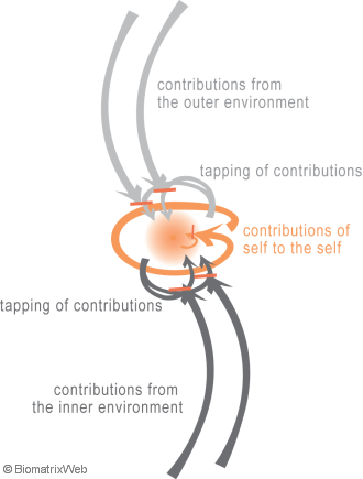 systems theory: entity system as “emerging middle”