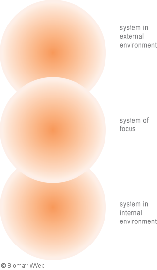 systems theory: entity systems boundaries from the field perspective