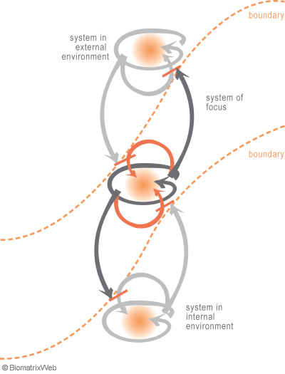 systems theory: boundaries between entity systems