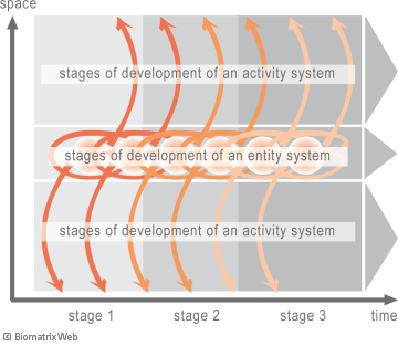 systems theory: stages of development