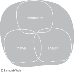 systems theory: substance mei - matter, energy, information