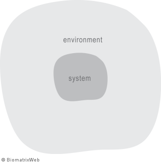 systems theory: system and its environment