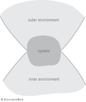 systems theory: outer versus inner environment