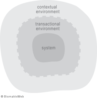 systems theory: transactional versus contextual environment