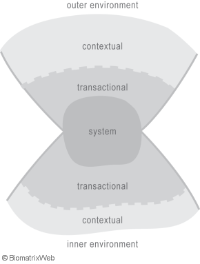 systems theory: transactional versus contextual, outer versus inner environment