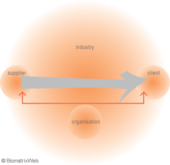 systems theory: ethos field of an activity system