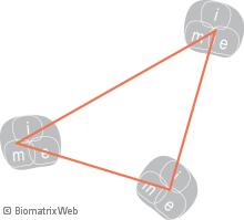 systems theory: structure