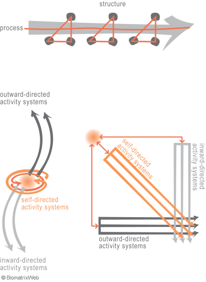 systems theory: structure of activity and entity systems