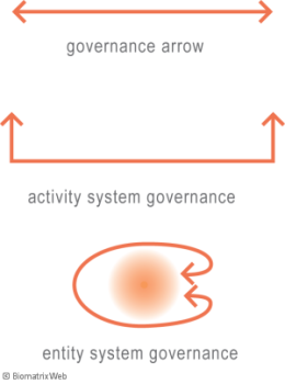 systems theory: governance