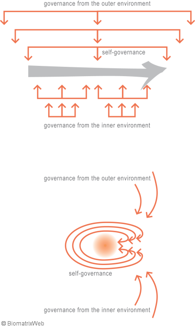 systems theory: levels of governance 