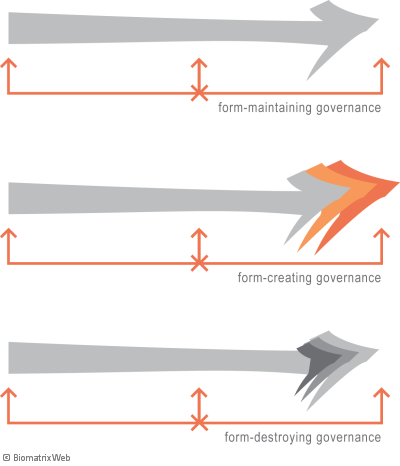 systems theory: types of governance