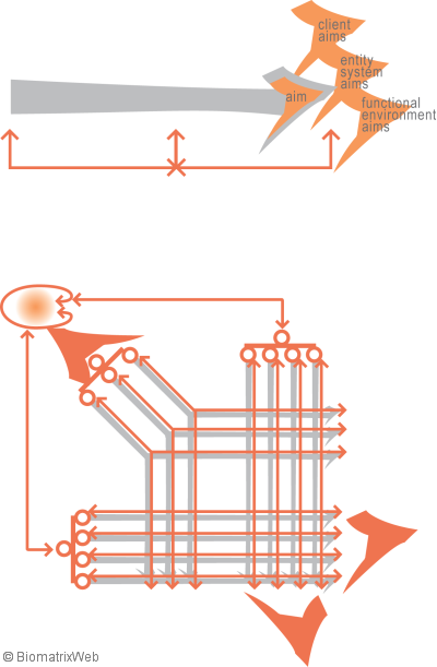 systems theory: governance of activity and entity systems