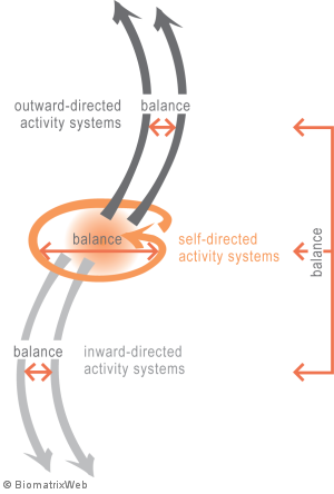 systems theory: balance within an entity system