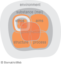 holographic nature of systems: seven forces of system organisation