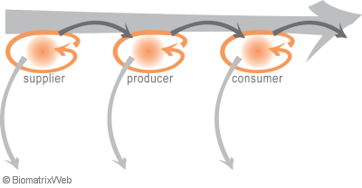 activity versus entity system perspective