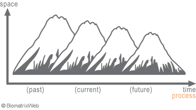 systems theory: process versus structure perspective