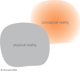 systems theory: physical versus conceptual reality