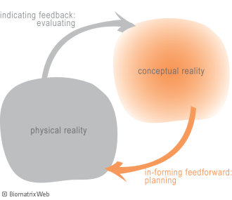 systems theory: interaction between physical and conceptual reality