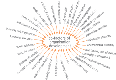 co-production of organisation development