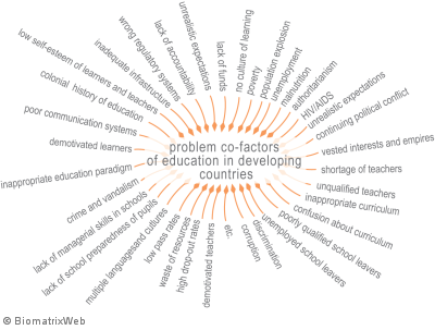 systems theory: concept of co-production