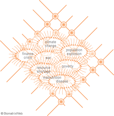 systems theory: emergent problems