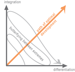 systems theory: concept of paradox