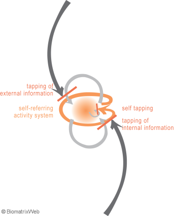  systems theory: concept of self-referral