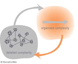 systems theory: telentropy tracing